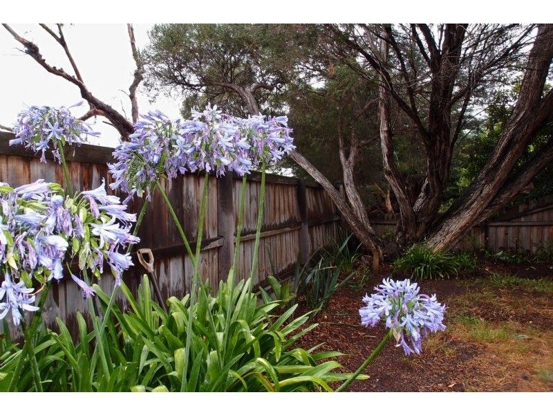 107 Fenwick Street, Portarlington VIC 3223