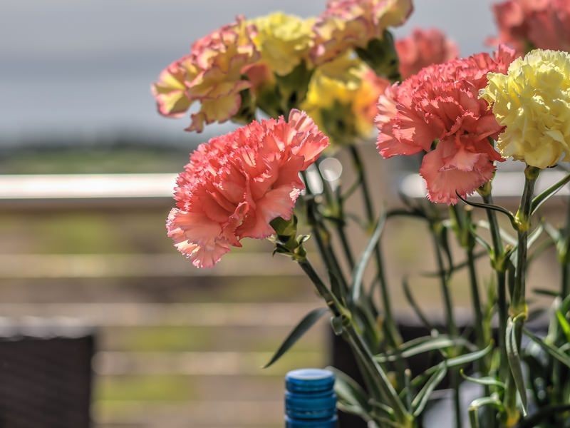 133 Tower Road, Portarlington VIC 3223