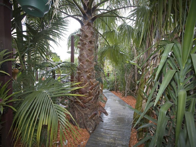 29 LAUREL AVE, Boronia VIC 3155