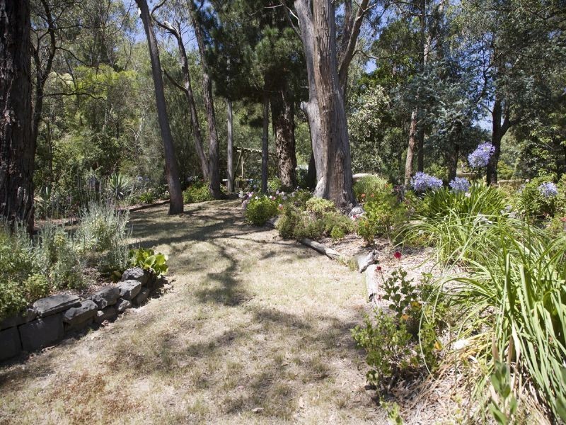 34 Joan Avenue, Ferntree Gully VIC 3156