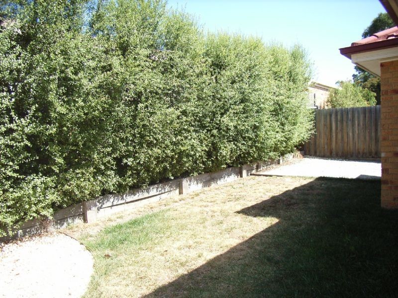 Ferntree Gully VIC 3156
