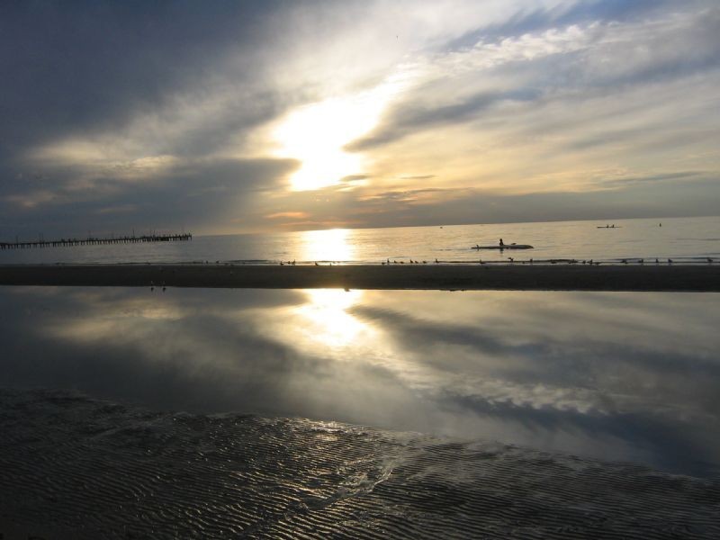 50 Berry Avenue, Edithvale VIC 3196