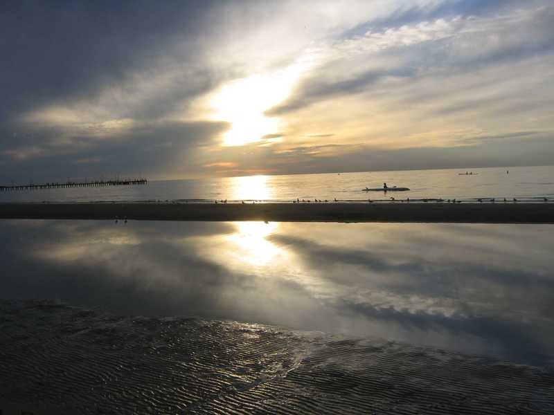 50 Berry Avenue, Edithvale VIC 3196