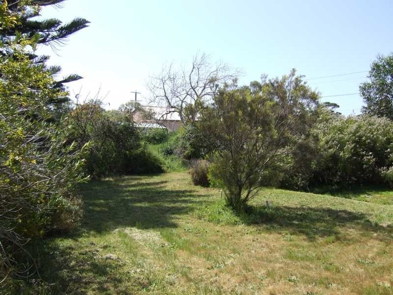 41 Catherine Avenue, Chelsea VIC 3196