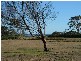 315 Reynolds Road, Metung VIC 3904