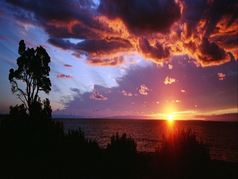 4 TI TREE AVENUE, Bonbeach VIC 3196