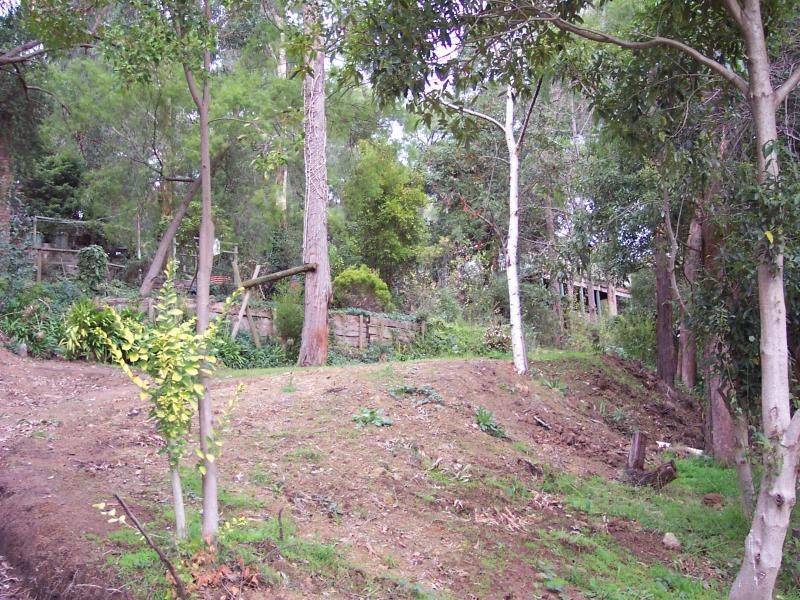 74 Commercial Road, Mount Evelyn VIC 3796