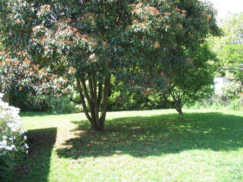 3 Nicholas Street, Wandin North VIC 3139