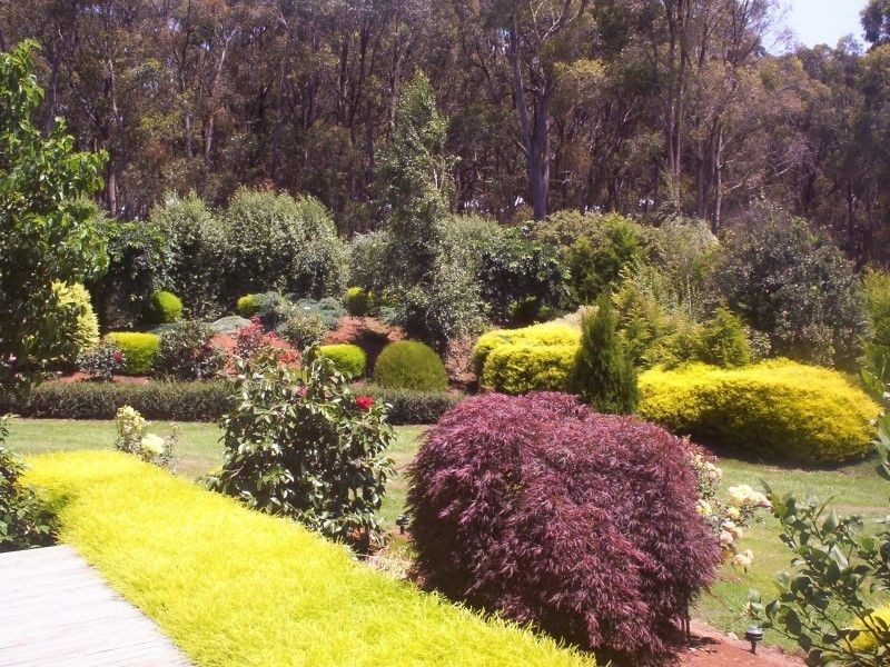 Hoddles Creek VIC 3139