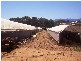 Hoddles Creek VIC 3139