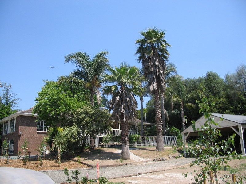 13 Read Road, Seville VIC 3139