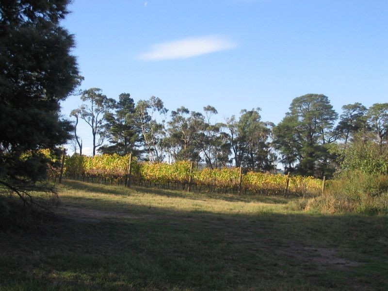 300 Victoria Road, Seville VIC 3139