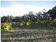 300 Victoria Road, Seville VIC 3139