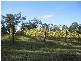 300 Victoria Road, Seville VIC 3139