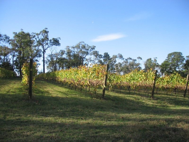 300 Victoria Road, Seville VIC 3139