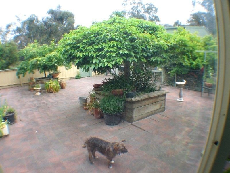 120 Bridgewater Road, Seville East VIC 3139