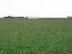 Pyramid Hill VIC 3575