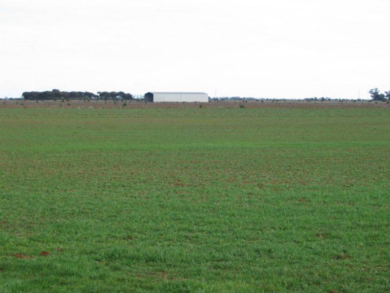 Pyramid Hill VIC 3575