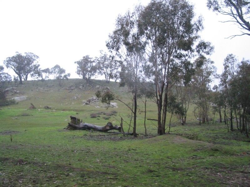 Moliagul VIC 3472