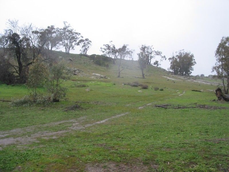 Moliagul VIC 3472