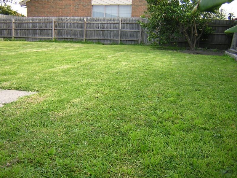 29 Westall Road, Clayton South VIC 3169