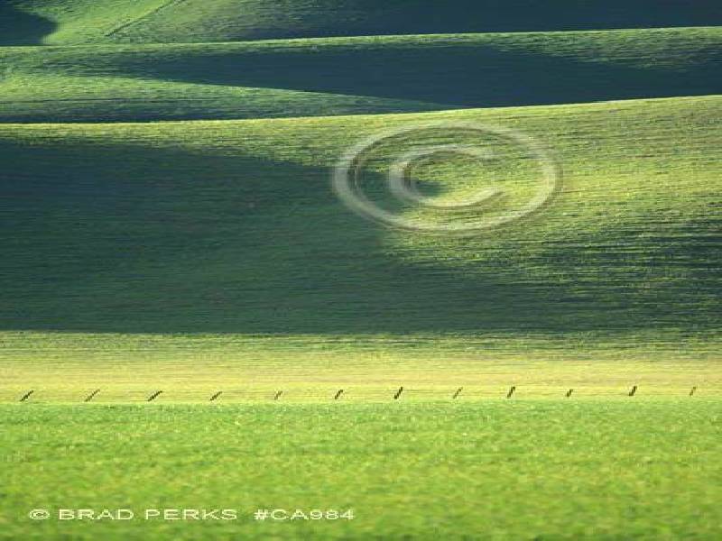 1/46 Whithworth Ave, Springvale VIC 3171