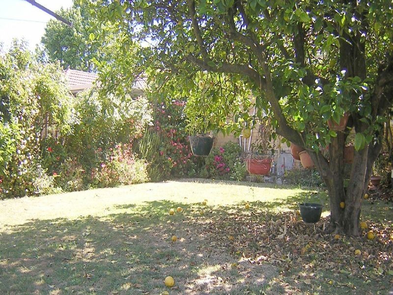 67 Grace Street, Springvale VIC 3171