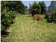 19 Westall Road, Clayton South VIC 3169