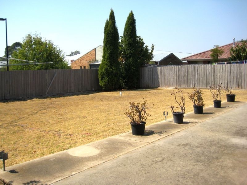 37 Halton Road, Dandenong North VIC 3175