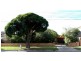 10 PRINCESS AVE, Springvale VIC 3171