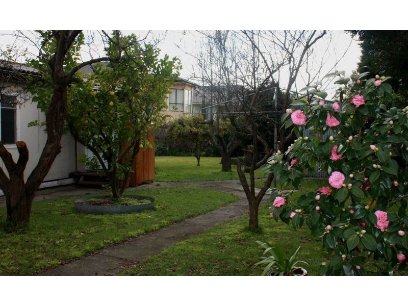 47 Windsor Avenue, Springvale VIC 3171