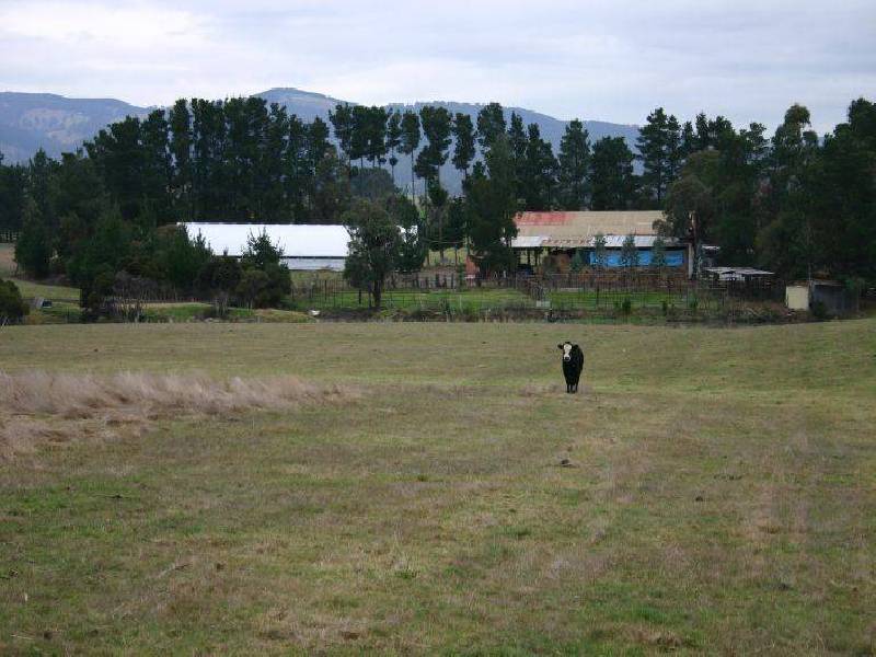 240 Switchback Road, Churchill VIC 3842