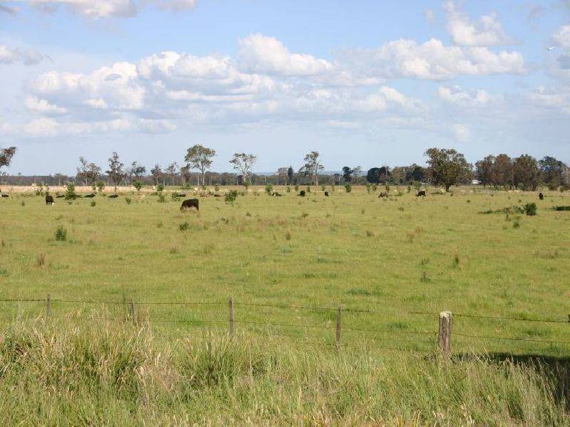 Lot 101 Hill Street, Toongabbie VIC 3856