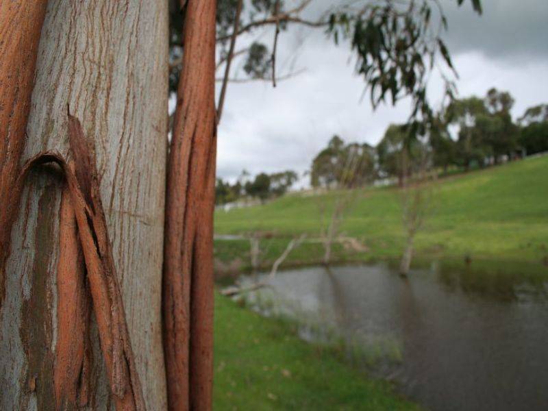 Lot 4 Jeeralang North Road, Hazelwood North VIC 3840