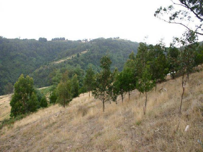Lot 3 Reidys Road, Jeeralang VIC 3840