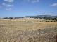 Morrison’s Road, Hazelwood VIC 3840