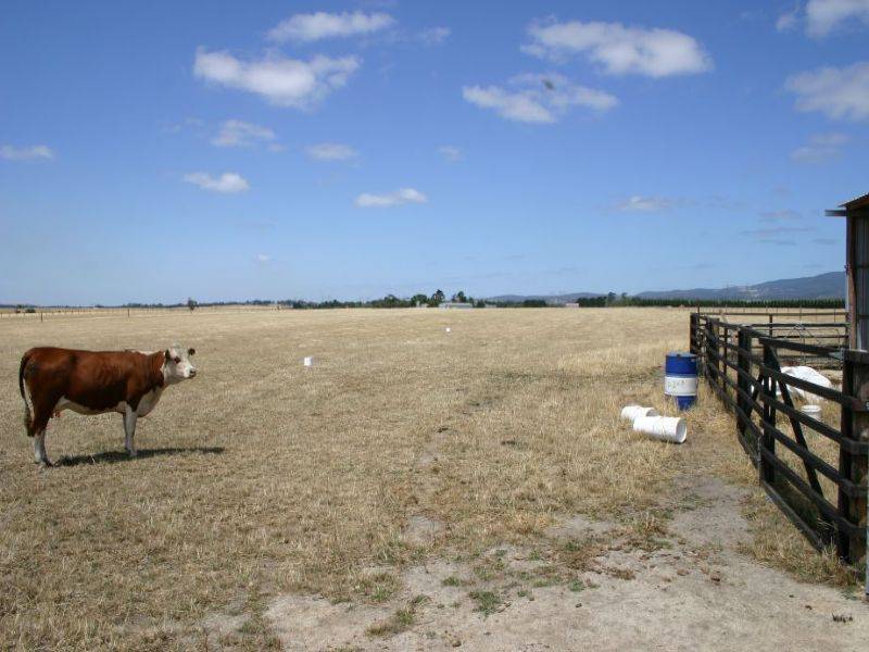 Morrison’s Road, Hazelwood VIC 3840