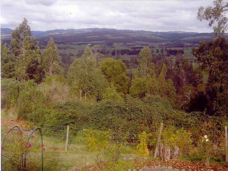 255 Creamery Road, Yinnar VIC 3869