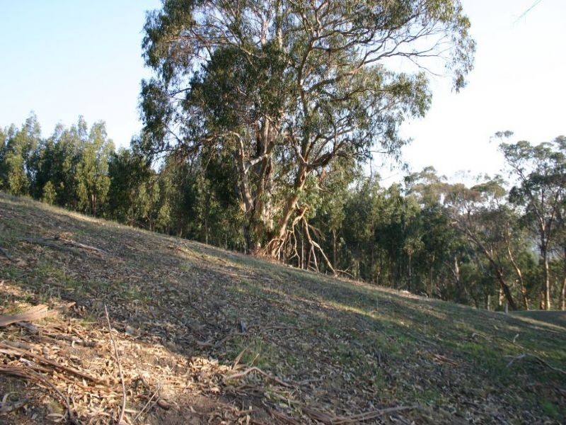 175 Healy’s Road, Yinnar South VIC 3869