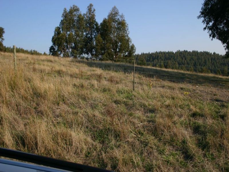 175 Healy’s Road, Yinnar South VIC 3869