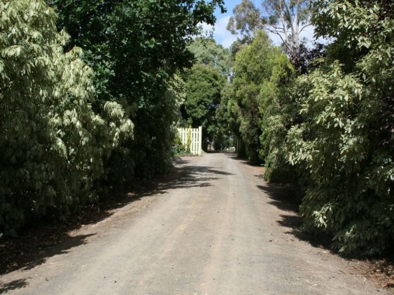 25 Withams Road, Yinnar VIC 3869