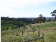 315 Thorpdale Road, Driffield VIC 3840