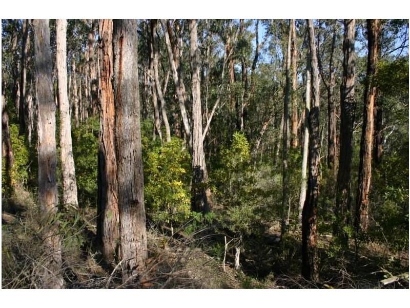 Lot 15 Jumbuck Road, Yinnar South VIC 3869