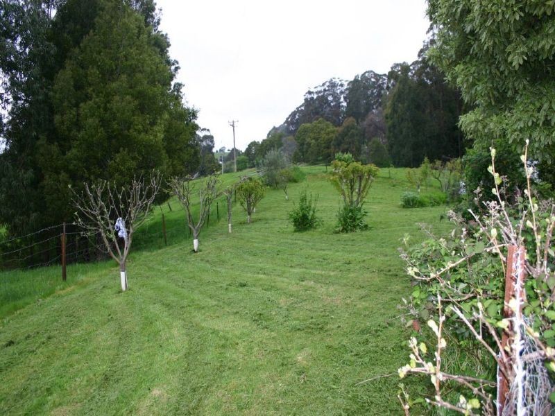 247 Gilberts Road, Yinnar South VIC 3869