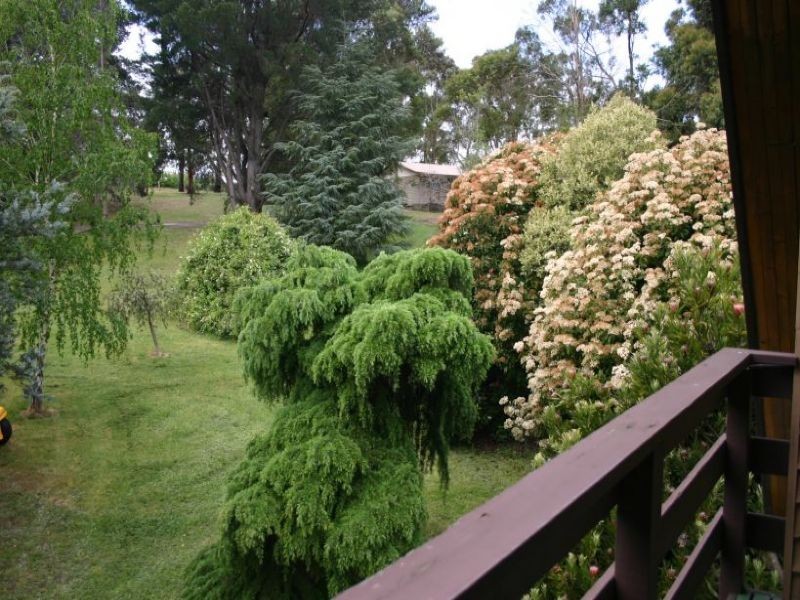 140 Andrew Street, Morwell VIC 3840