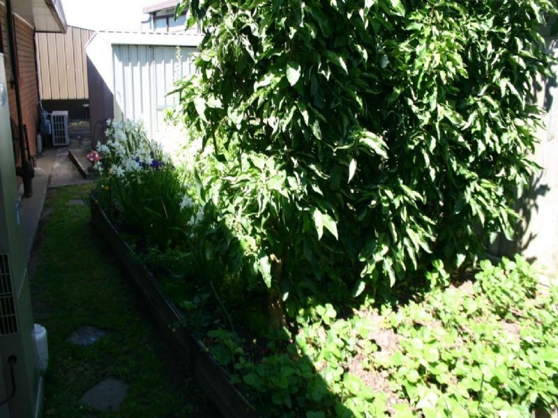 Unit 4 / 11 Bridle Road, Morwell VIC 3840