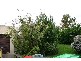 12 The Boulevard, Morwell VIC 3840