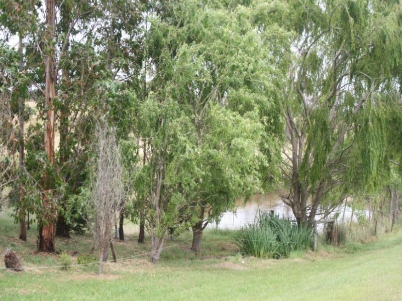 15 Blue Teal Road, Hazelwood North VIC 3840