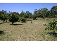10 Maitland Road, Hazelwood North VIC 3840