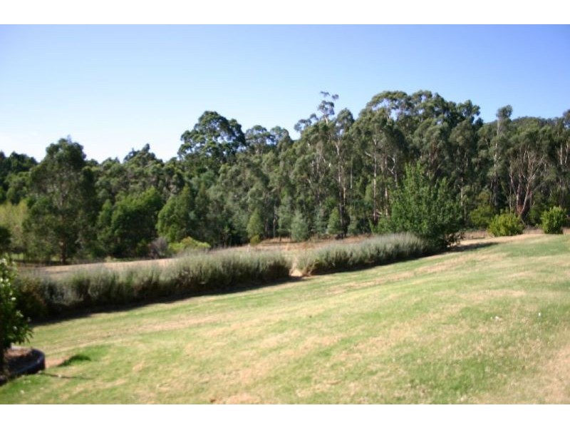 55 Tebb Terrace, Jeeralang VIC 3840